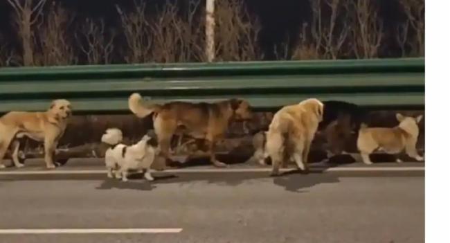 මරණය අභියසින් පැනගිය වීරයෝ!